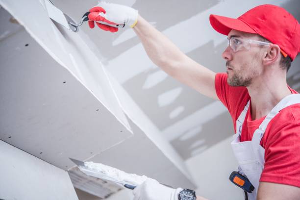 Best Drywall Installation  in Heyworth, IL